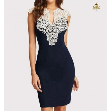 Lace Yoke Form Fitting Dress