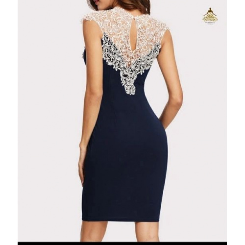 Lace Yoke Form Fitting Dress