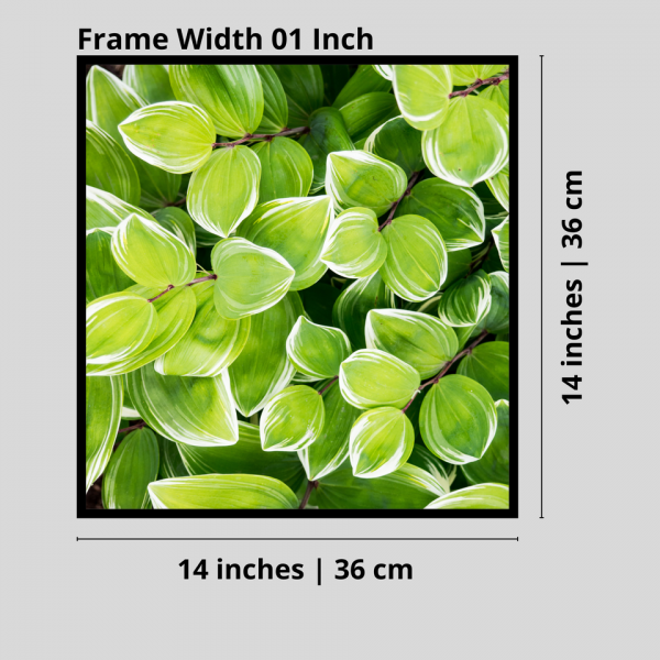 Natural Green Leafed Canvas Print Poster