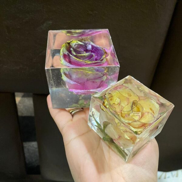 Rose preserved in resin