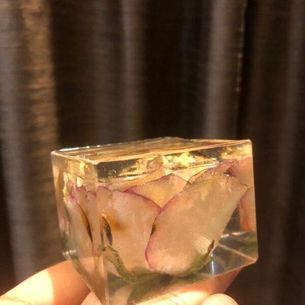 Rose preserved in resin