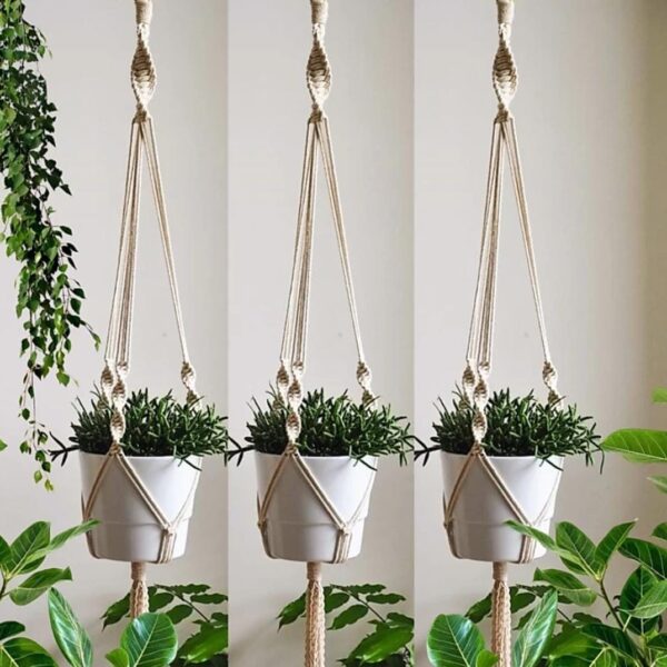 Scooby Plant Hanger