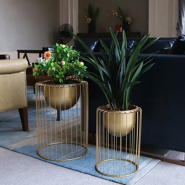 Cage Planters Set