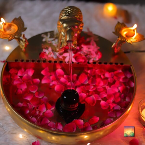 Luxurious Gold Elephant Fountain with Peacock Diyas Best For Diwali Decorations and Festive Home Decor Superb way to create a peaceful, calming and welcoming atmosphere inside your home. The sound and sight of trickling water are naturally soothing and placed indoors help induce a feeling of calm and relaxation Size - 13 Inch Note: Shiva linga is not Included