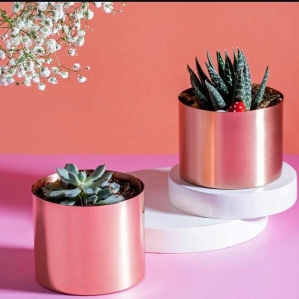Metal Iron planters with shinning copper finish