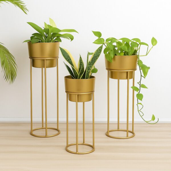 Big Pot Planter Set of 3