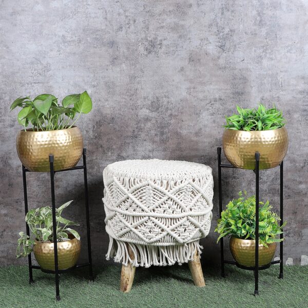 Two layers apple planter set of 2