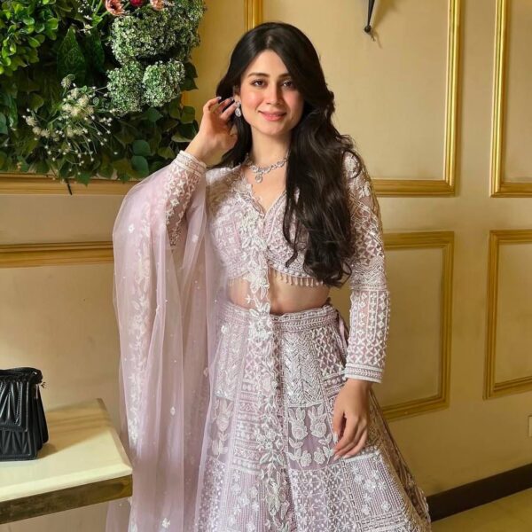 Soft Butterfly Net Lehenga Resham Embroidery Work