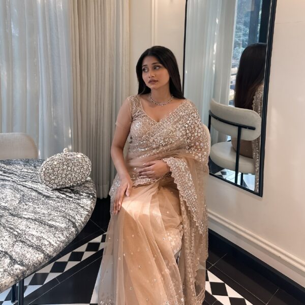 Gold Premium Butterfly Net Embellished Saree