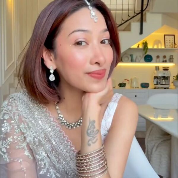 Nylon Net Sequence Saree