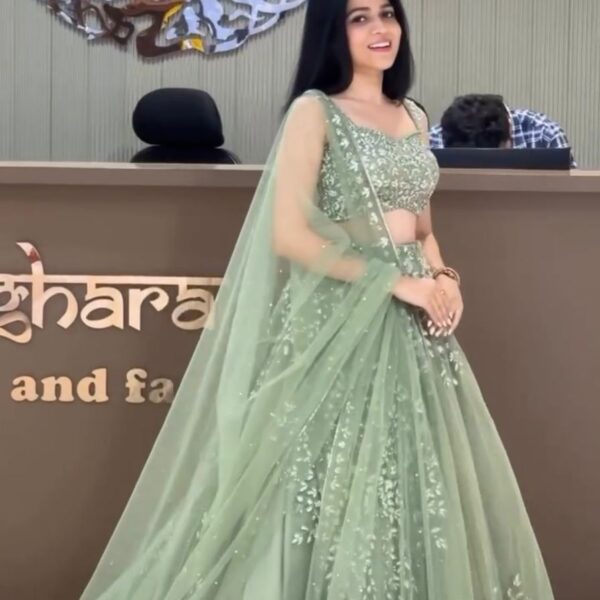 Green Butterfly Net Lehenga Choli