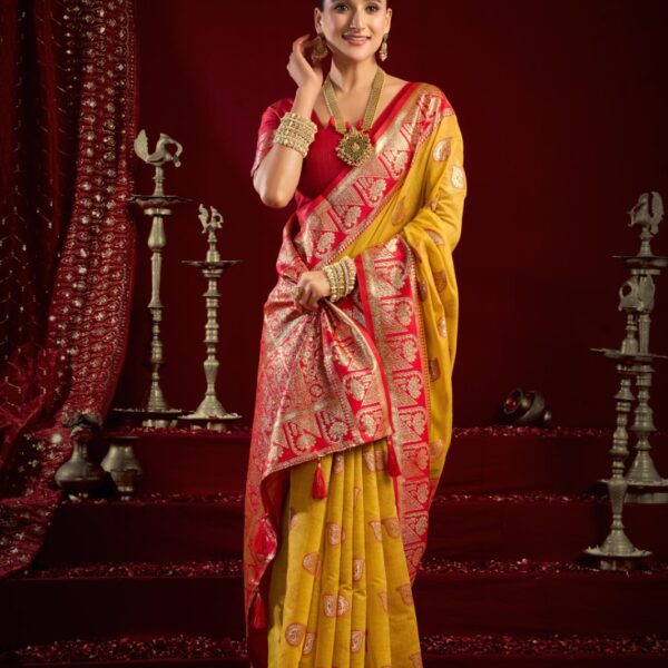Fancy modal banarasi jari Saree