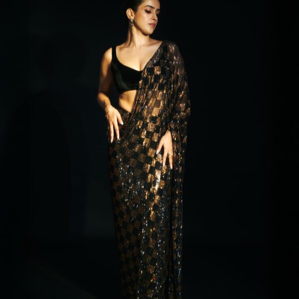 Heavy 3MM & 5MM Sequins Saree