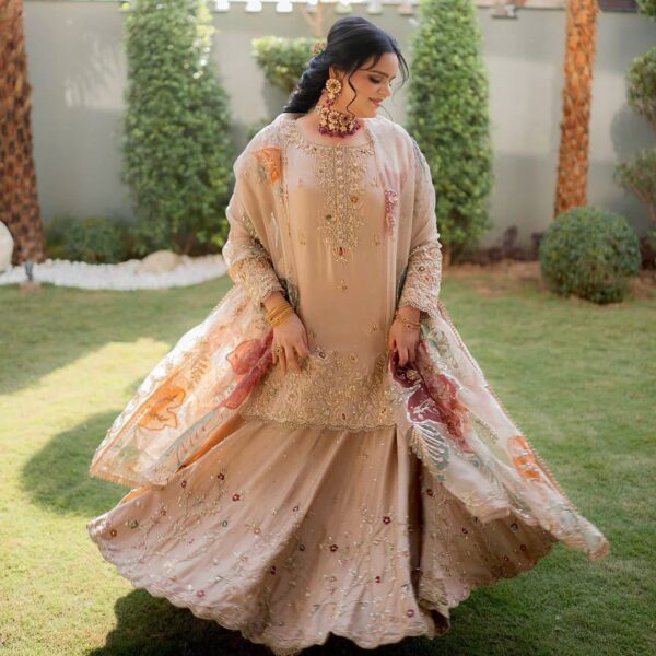 Chinon Lehenga Sequence Designer Suit Set