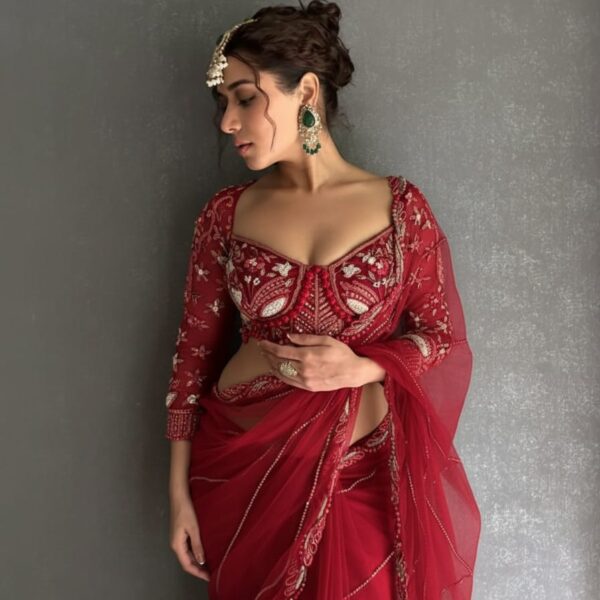 Red Premium Net Embellished Saree