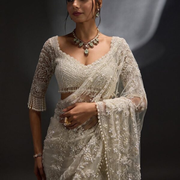 Heavy 5mm multy Sequins Embroidery work Saree