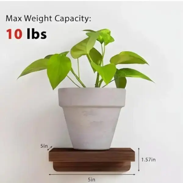 Wooden Floating Shelves For wall Decor