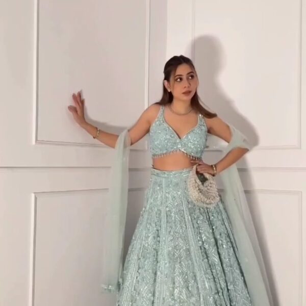 Premium Soft Butterfly Net Lehenga Choli