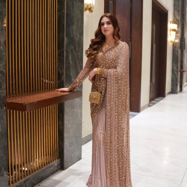 Gold Premium Butterfly Net Embellished Saree