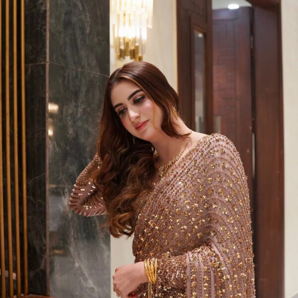 Gold Premium Butterfly Net Embellished Saree