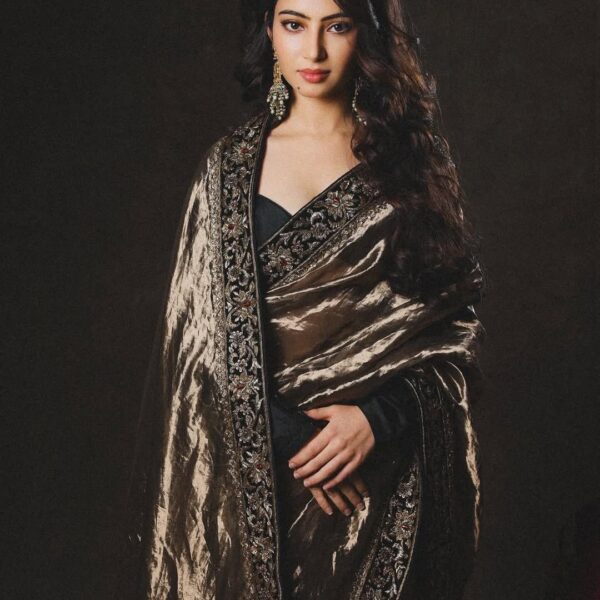 Dhurandhar Yalina Soft Twill Saree