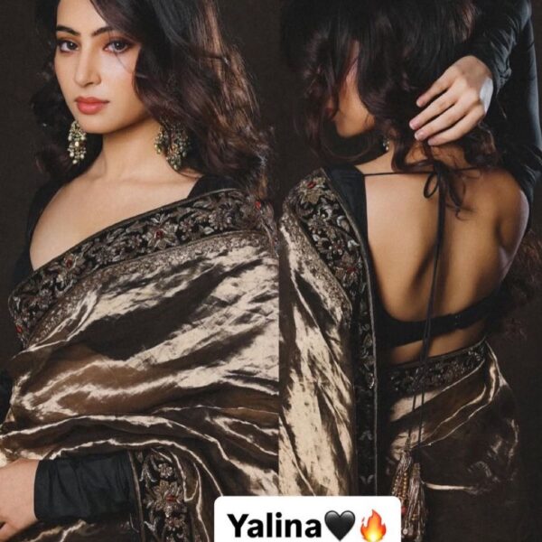 Dhurandhar Yalina Soft Twill Saree