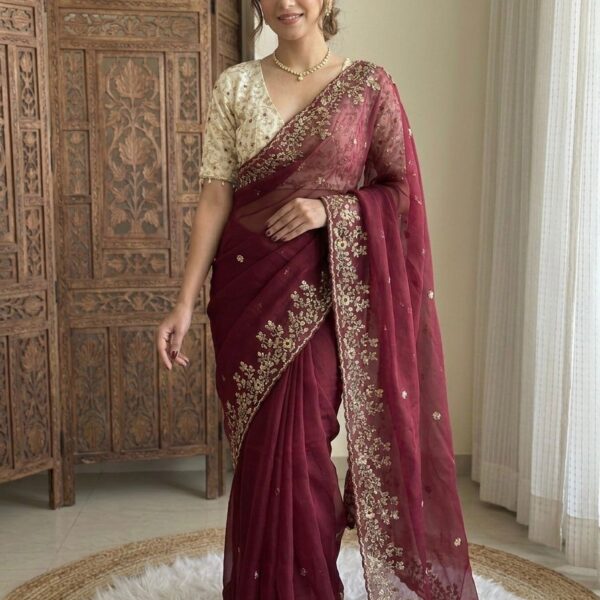 Jimmy Chu Saree with embroidery work