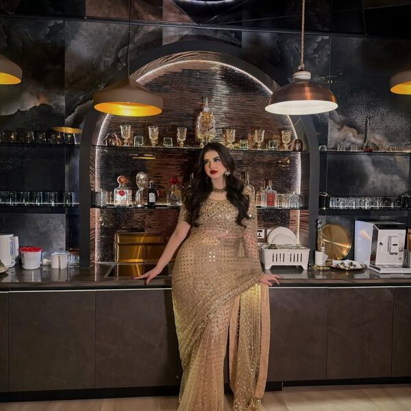 Premium Butterfly Soft Net Embellished Saree