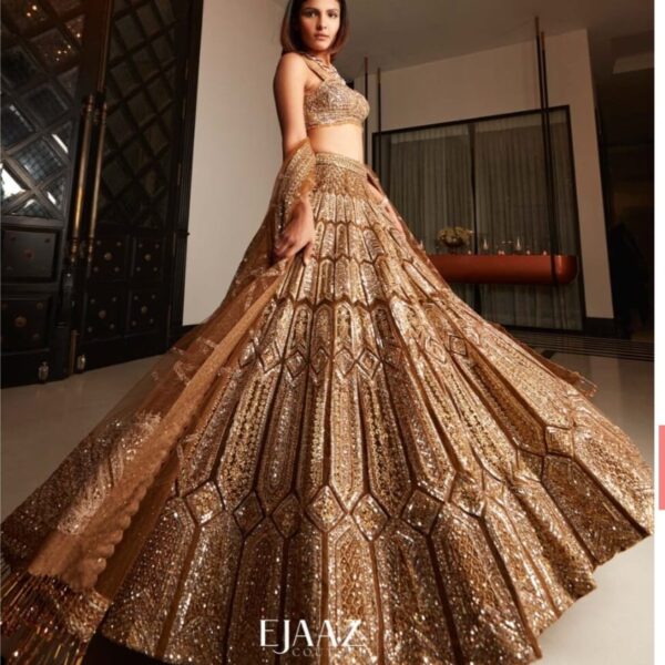 Premiums Heavy Malai Silk Embellished Lehenga