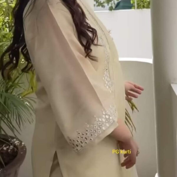 Soft chanderi Kurta with foil mirror work