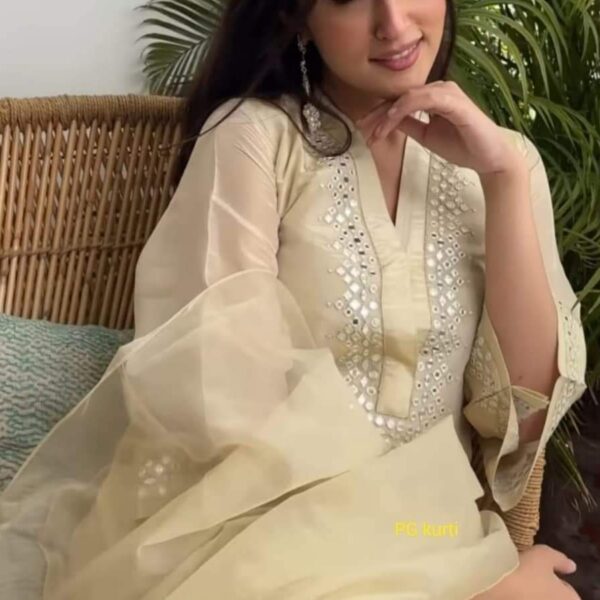 Soft chanderi Kurta with foil mirror work