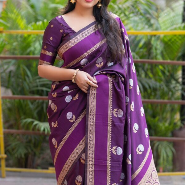 Soft silk saree with silver and gold zari