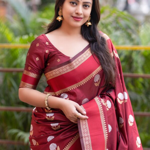 Soft silk saree with silver and gold zari