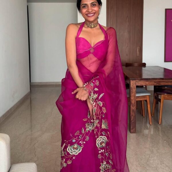 Soft organza saree with embroidery jari and thread work