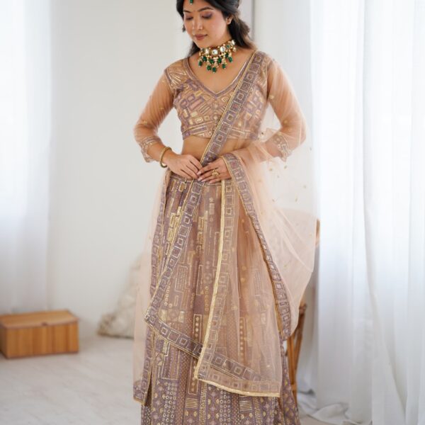 Premium Soft Butterfly Net Lehenga Embellished Work