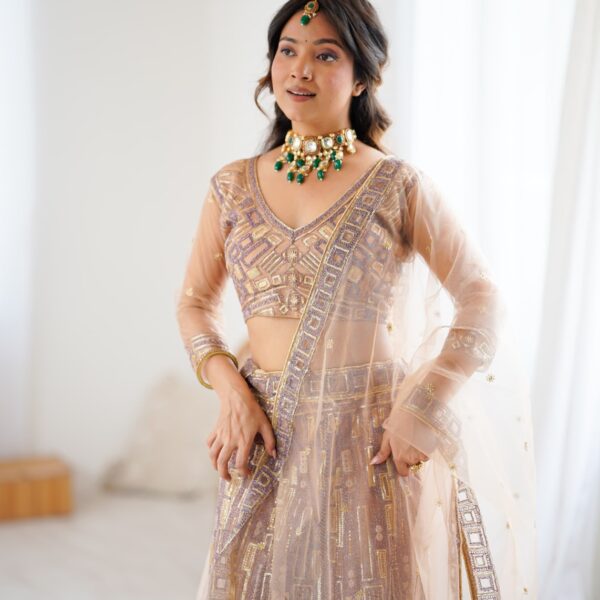 Premium Soft Butterfly Net Lehenga Embellished Work