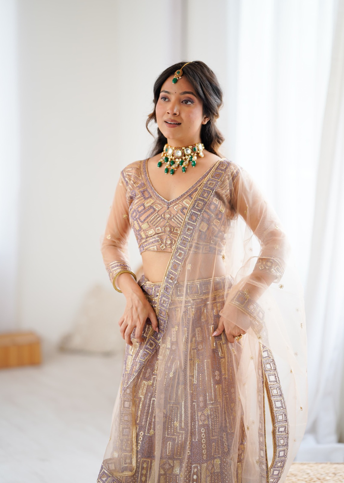 Premium Soft Butterfly Net Lehenga Embellished Work
