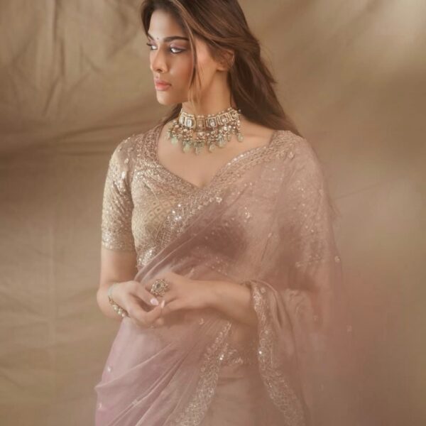 Tissue Salsa Crush Saree with Work