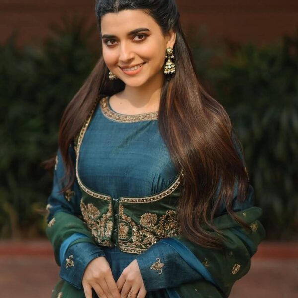 Vichitra silk gown with 5mm sequins & zari work