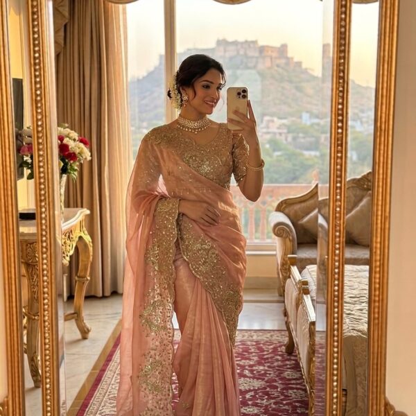 Space Satin Saree with threads & Sequins Work