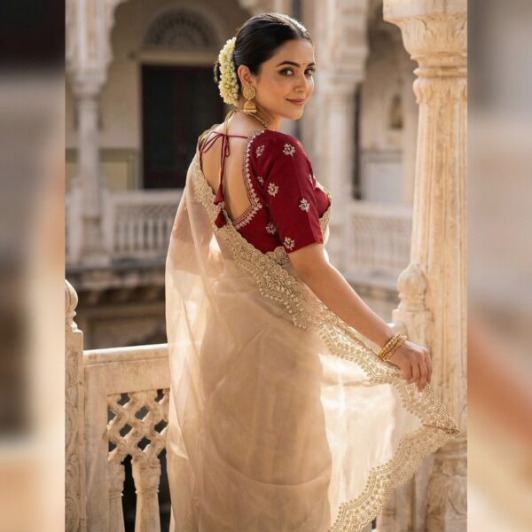 Pure soft Nylon Organza sarees with sequence work