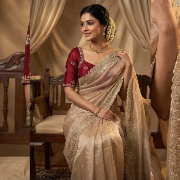 Pure soft Nylon Organza sarees with sequence work