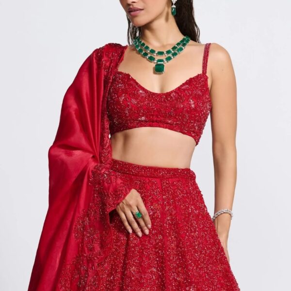 Red Premium Vichitra Silk Embellished Lehenga