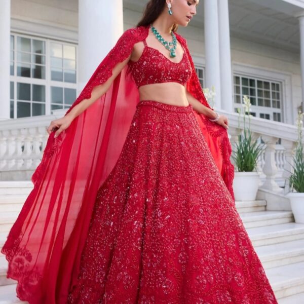Red Premium Vichitra Silk Embellished Lehenga
