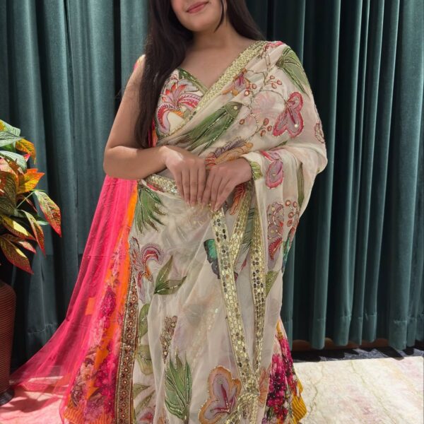 Soft tebi silk with digital print and mirror work
