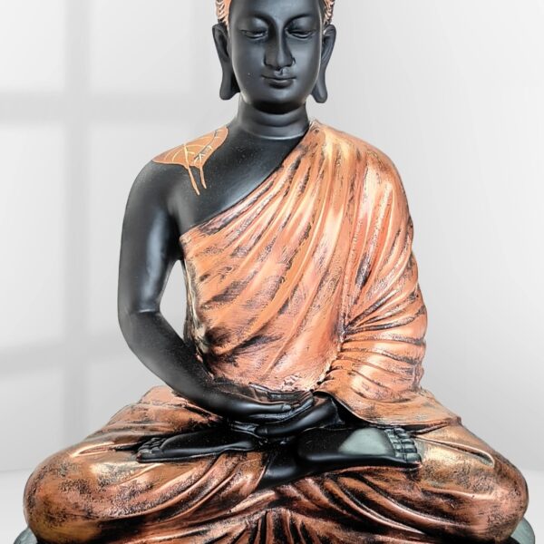 Dhayan Buddha