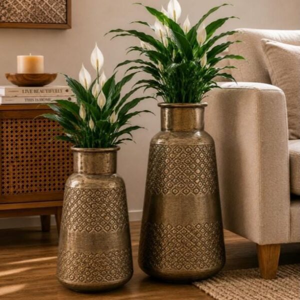 Flower Pot set of Two