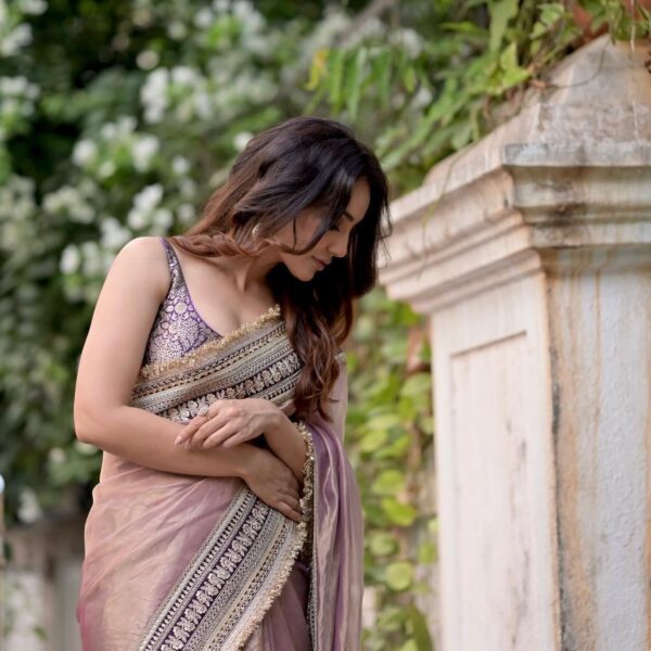 Soft Twil Net Saree with Handwork Work