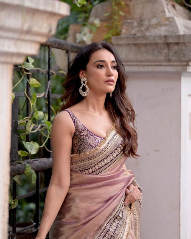 Soft Twil Net Saree with Handwork Work