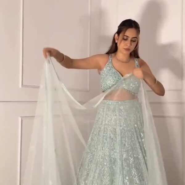 Soft Butterfly Net Lehenga With Dori Work